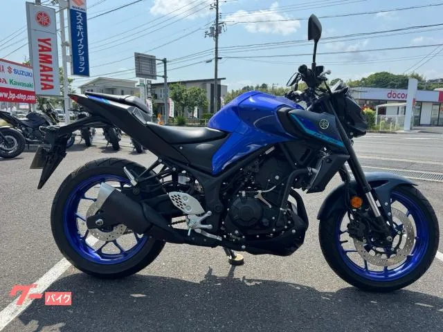 Yamaha MT-25 2022 — фото 1, купить с доставкой в Москву