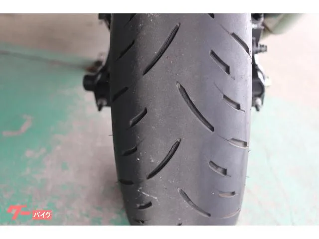 Kawasaki Ninja ZX-4RR ABS GB 2024 — миниатюра 5