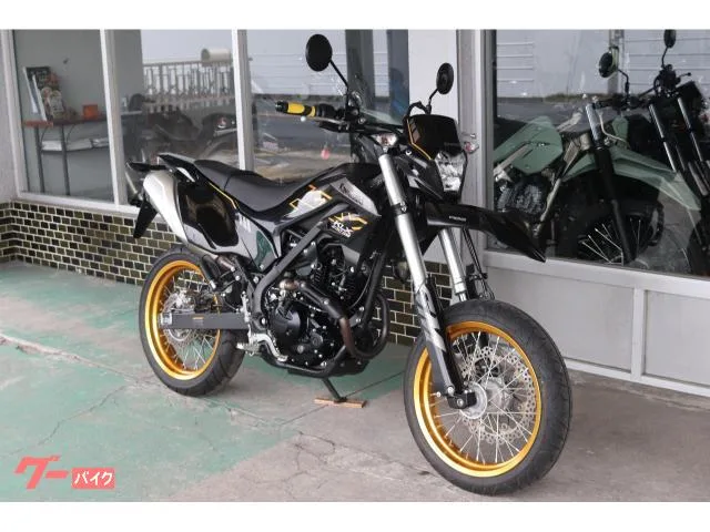 Kawasaki KLX230SM 2023 — миниатюра 2