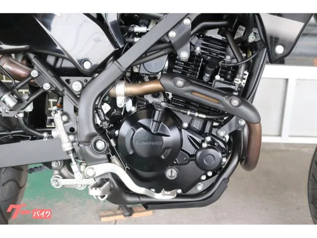 Kawasaki KLX230SM 2023 — миниатюра 3