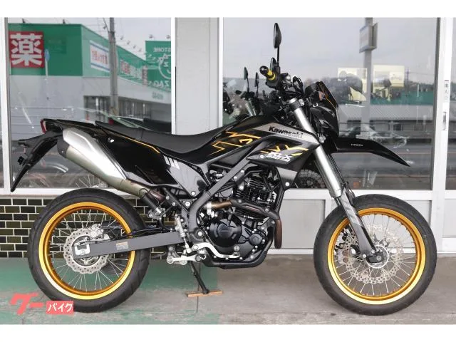 Kawasaki KLX230SM 2023 — фото 1, купить с доставкой в Москву