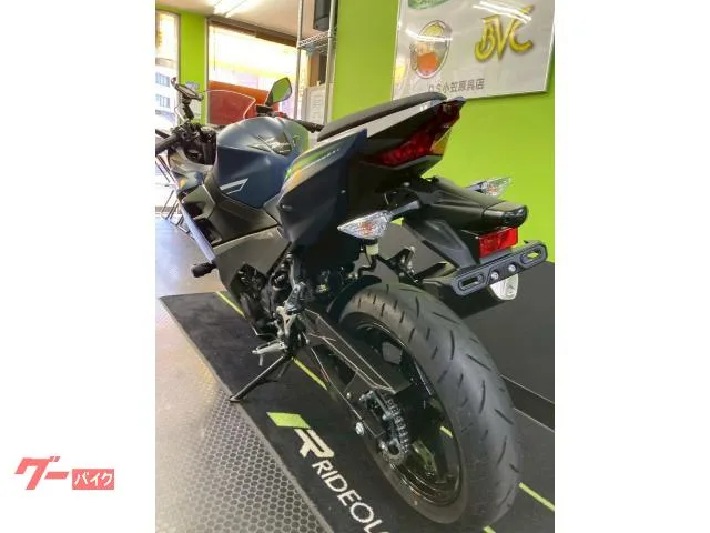 Kawasaki Ninja 400 //USB 2022 — миниатюра 3