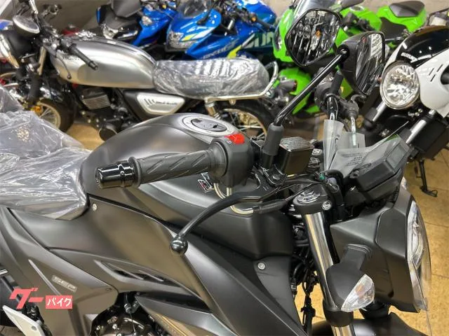 Suzuki GIXXER 250 ABS LED M5 2025 — миниатюра 4