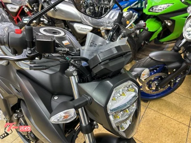 Suzuki GIXXER 250 ABS LED M5 2025 — миниатюра 5