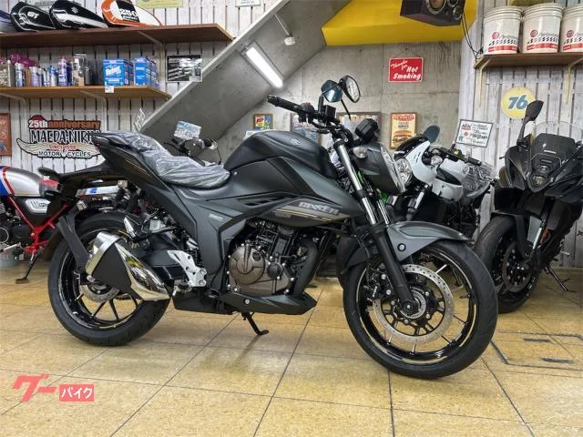 Suzuki GIXXER 250 ABS LED M5 2025 — фото 1, купить с доставкой в Москву