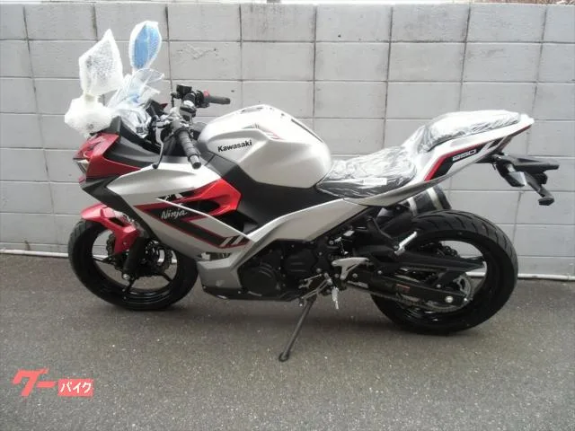 Kawasaki Ninja 250 2025 — миниатюра 2