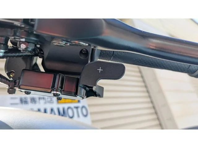 QJMOTOR SRV 250A 2026 V 2026 — миниатюра 2