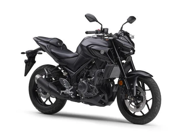 Yamaha MT-25 2025 2025 — миниатюра 3