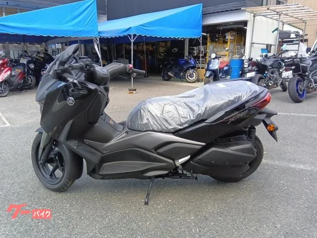 Yamaha X-MAX2502025 2025 — миниатюра 4