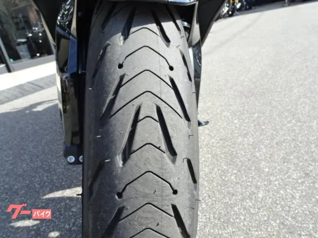 TRIUMPH 800 2025 — миниатюра 3