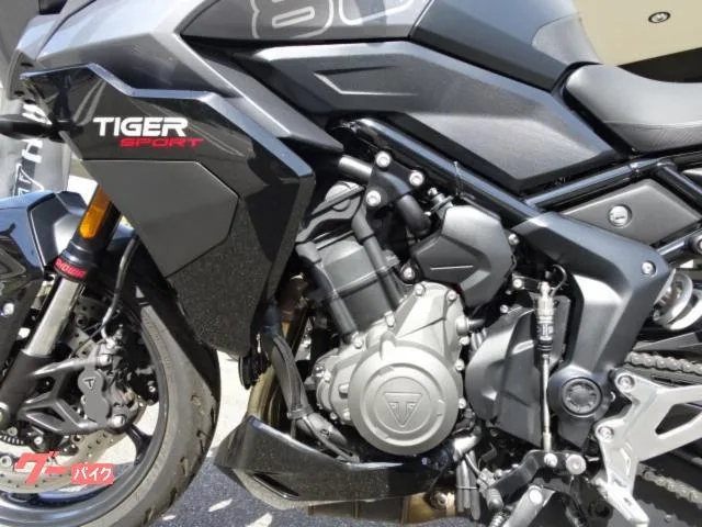 TRIUMPH 800 2025 — миниатюра 5