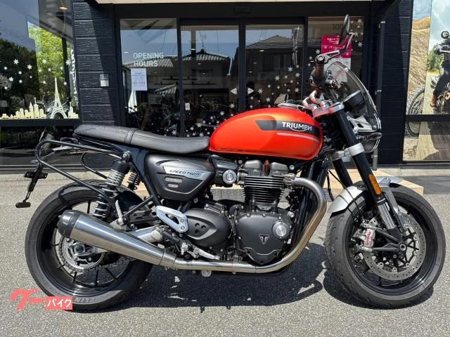 TRIUMPH 1200 ETC 2023 — миниатюра 2