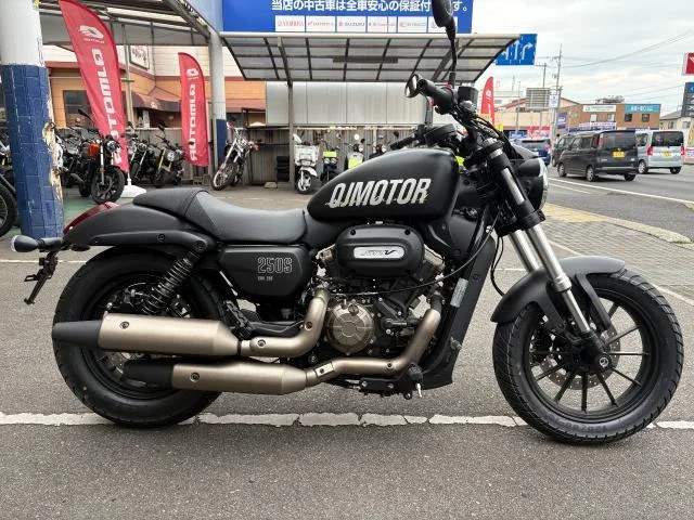 QJMOTOR SRV250 V USB 2025 — фото 1, купить с доставкой в Москву