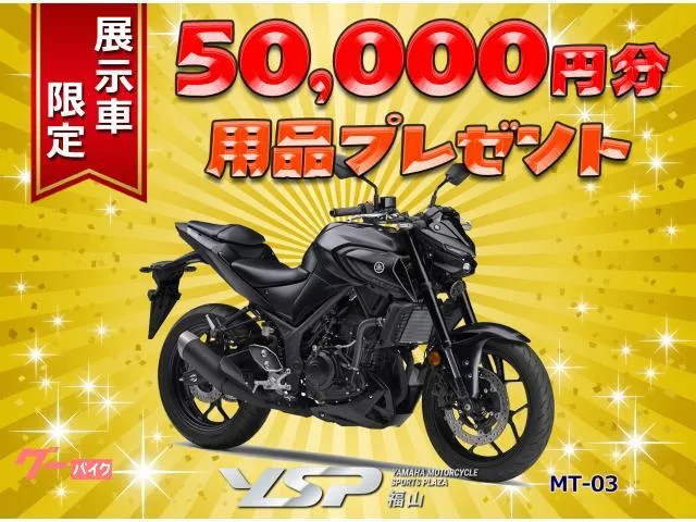 Yamaha MT-03(320cc)ABS 2023 — миниатюра 2