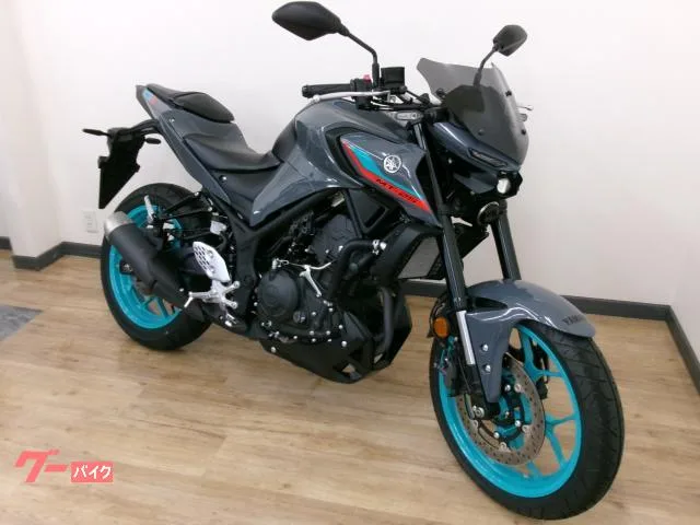 Yamaha MT-25 2022 — миниатюра 2
