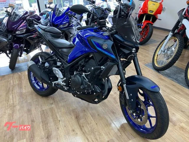 Yamaha MT-25 2022 — миниатюра 2