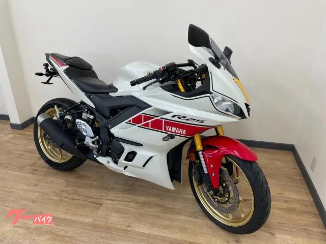 Yamaha YZF-R25 60th Anniversary 2022 — миниатюра 2