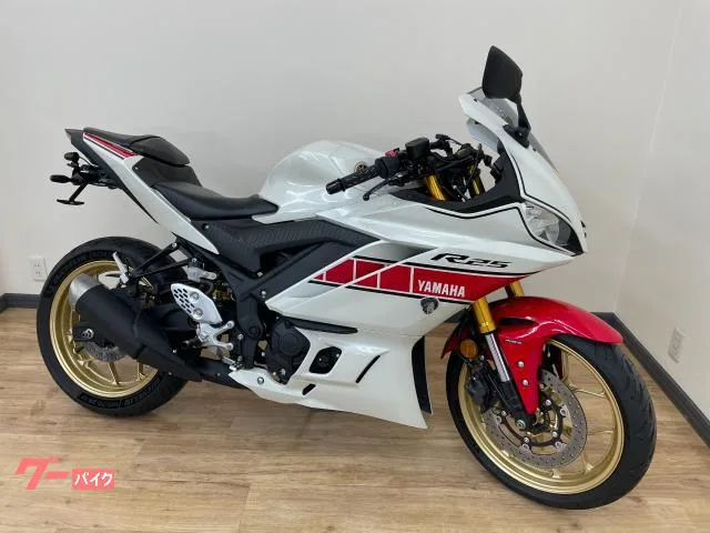 Yamaha YZF-R25 60th Anniversary 2022 — фото 1, купить с доставкой в Москву