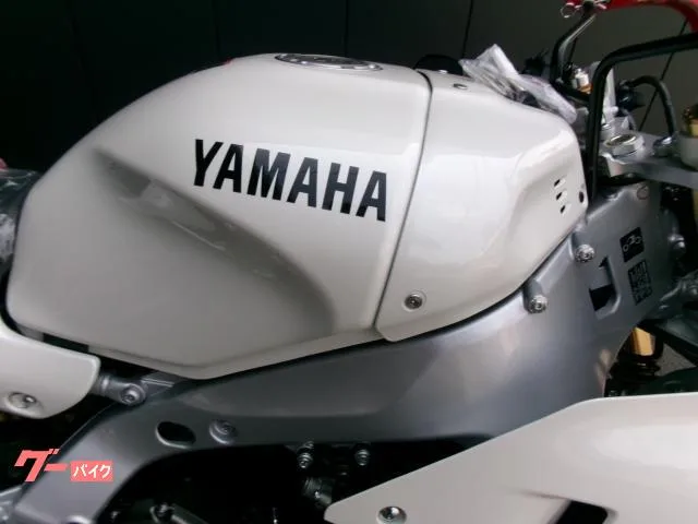 Yamaha XSR900GP. 2026 — миниатюра 5
