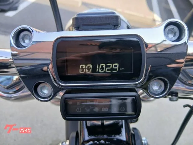 HARLEY-DAVIDSON FXST ETC M8-107 2024 — миниатюра 3