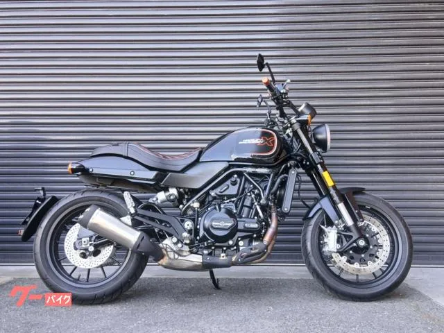 HARLEY-DAVIDSON X500 2024 — миниатюра 2