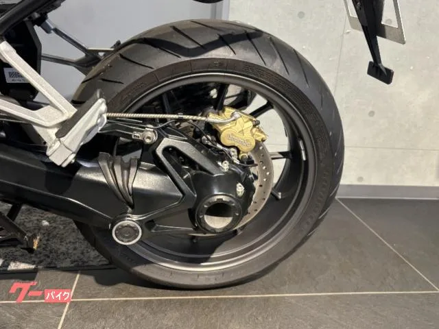 BMW R1250RS ETC ESADTC LED BMW 2022 — миниатюра 3