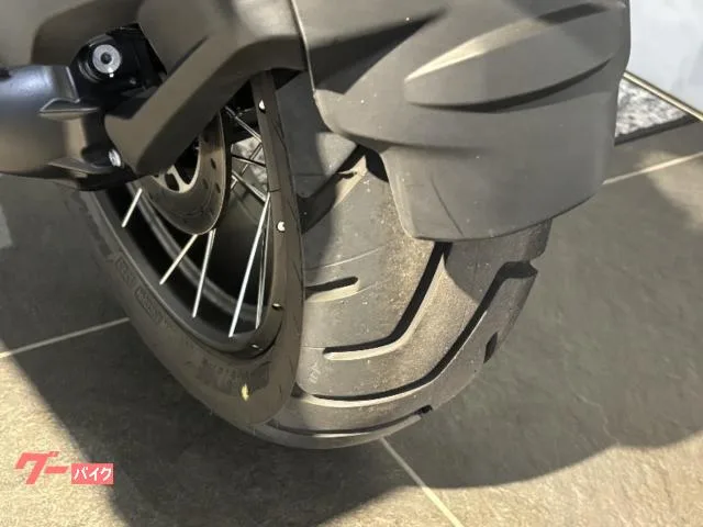 BMW R1250GS Adventure ETC 3 BMW 2024 — миниатюра 3