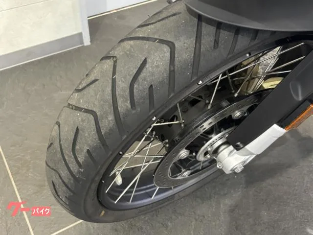 BMW R1250GS Adventure ETC 3 BMW 2024 — миниатюра 5