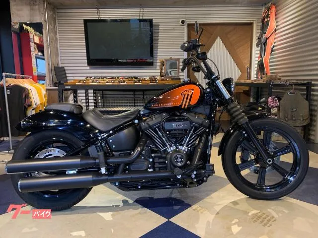 HARLEY-DAVIDSON FXBBS 114 ETC2.0 2023 — фото 1, купить с доставкой в Москву