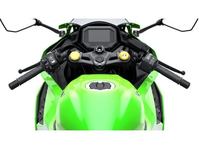 Kawasaki Ninja ZX-25RR/ABS/ // 2026 — миниатюра 5