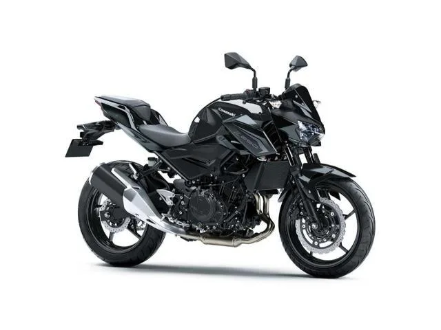 Kawasaki Z250/ABS/LED // 2026 — фото 1, купить с доставкой в Москву