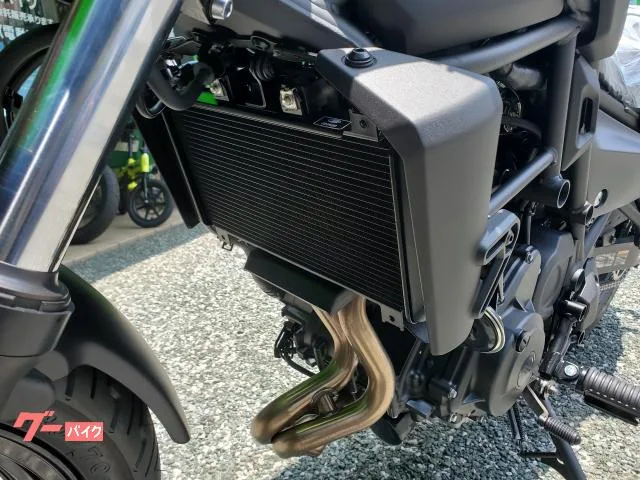 Kawasaki 400/ETC/ABS/// 2026 — миниатюра 4