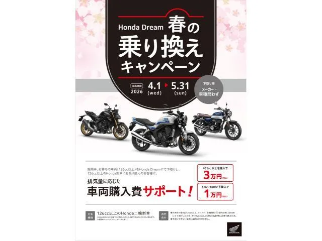 Honda 1100 2025 — миниатюра 3