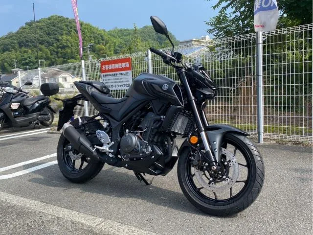 Yamaha MT-25 RG95J Y USB ABS 2024 — миниатюра 2