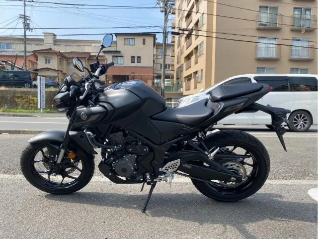 Yamaha MT-25 RG95J Y USB ABS 2024 — миниатюра 3