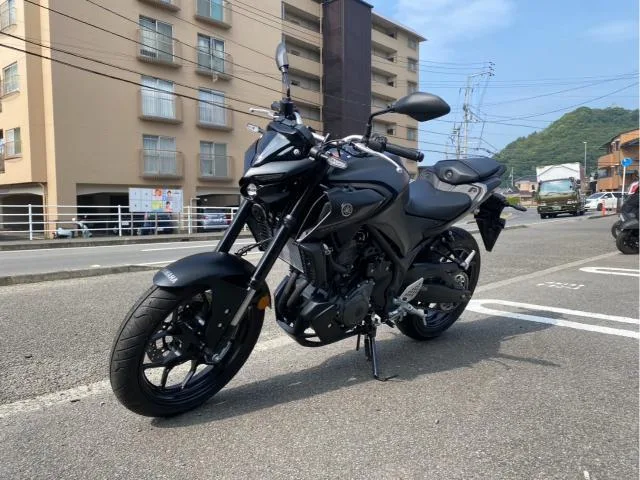 Yamaha MT-25 RG95J Y USB ABS 2024 — миниатюра 5