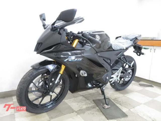Yamaha YZF-R15 2025 — миниатюра 5