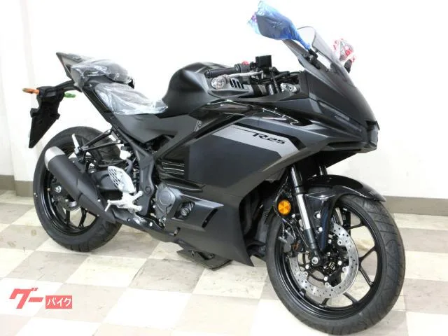 Yamaha YZF-R25 2025 — миниатюра 3