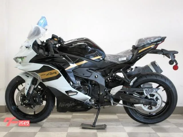 Kawasaki Ninja ZX-4R SE 2026 2026 — миниатюра 2