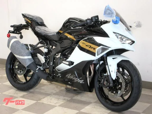 Kawasaki Ninja ZX-4R SE 2026 2026 — миниатюра 3