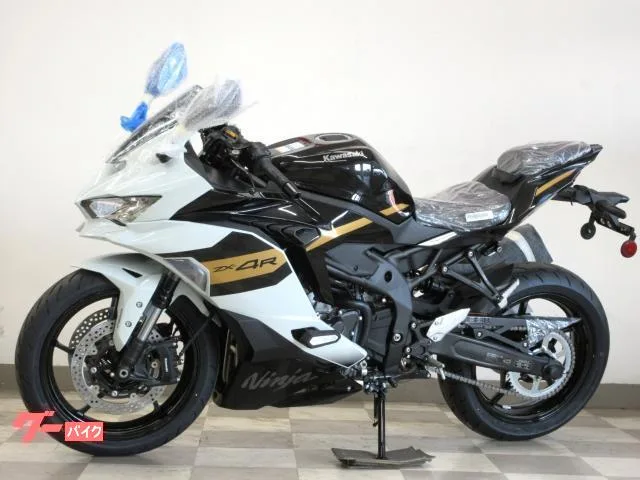 Kawasaki Ninja ZX-4R SE 2026 2026 — миниатюра 4