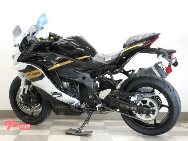 Kawasaki Ninja ZX-4R SE 2026 2026 — миниатюра 5