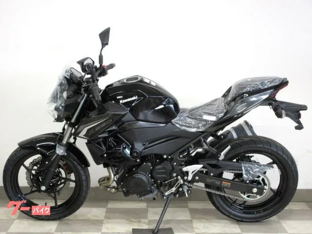 Kawasaki Z250 2026 / 2026 — миниатюра 2