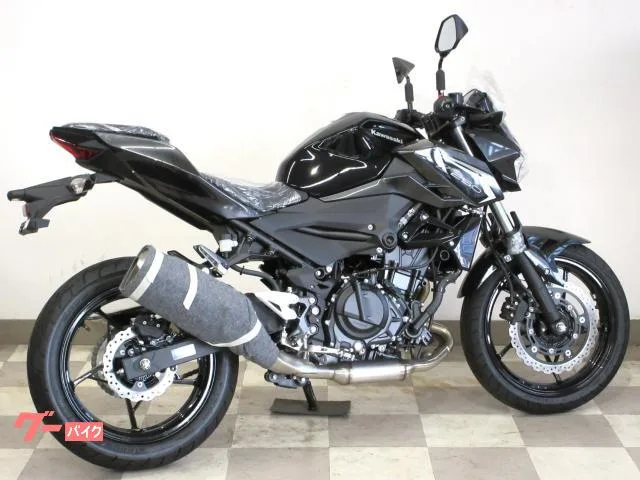 Kawasaki Z250 2026 / 2026 — миниатюра 3