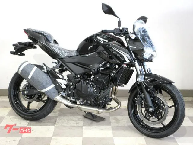 Kawasaki Z250 2026 / 2026 — миниатюра 4