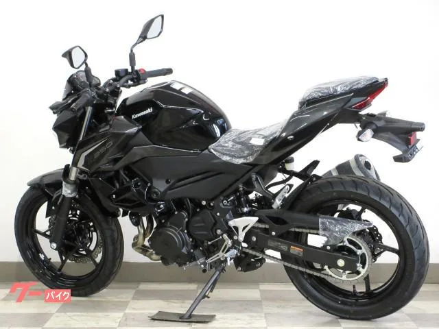Kawasaki Z250 2026 / 2026 — миниатюра 5