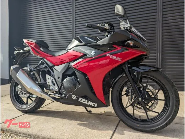 Suzuki GSX250R ABS LED LED LCD 2024 — фото 1, купить с доставкой в Москву