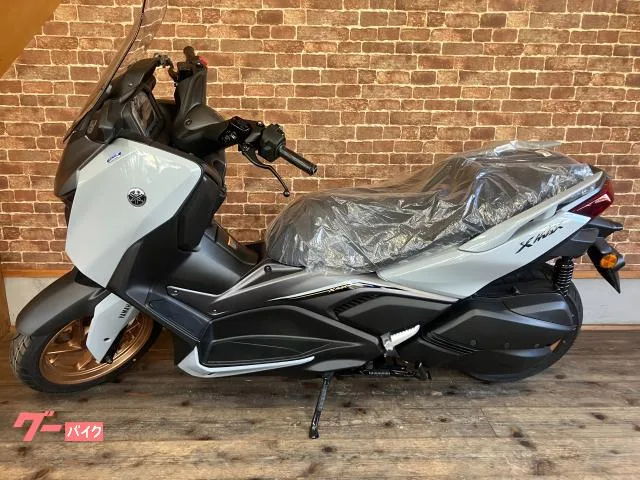 Yamaha X-MAX250 2025 — миниатюра 2