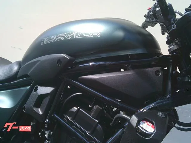 Kawasaki 400SE ETC2.0 2024 — миниатюра 5