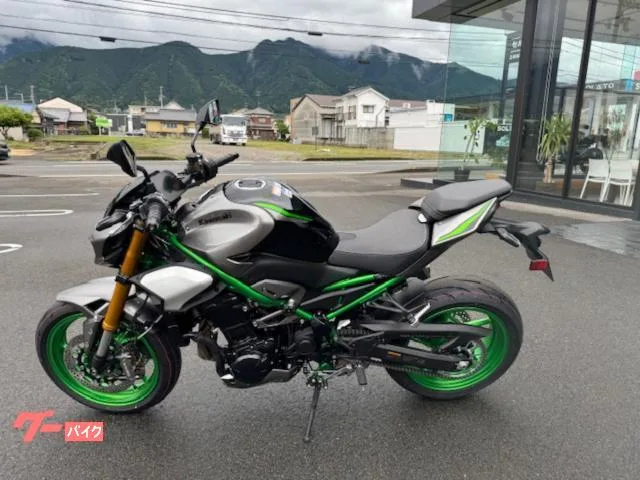 Kawasaki Z900 SE etc2.0 2025 — миниатюра 2